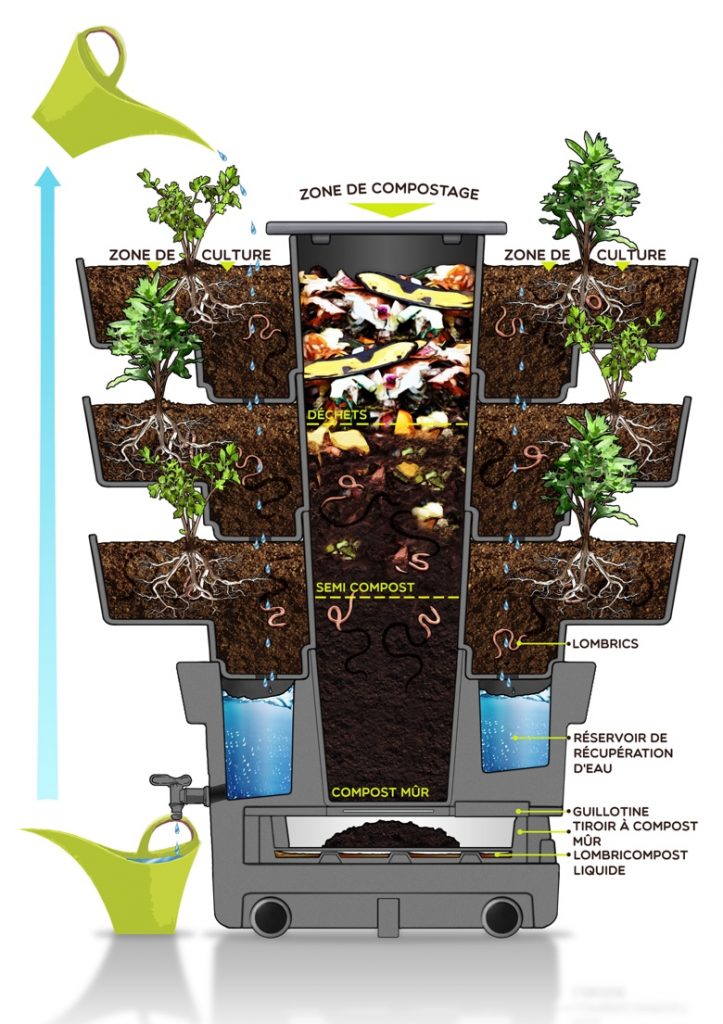 500 vers pour Compost dans 4 litres de terreau activateur de Compost - Les  lombrics Vivants produisent du lombricompost : : Jardin