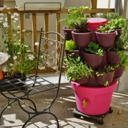 Jardin_composteur_permaculture_recyclage_fleur_decoration