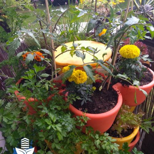 Jardin_composteur_permaculture_recyclage_fleur_decoration