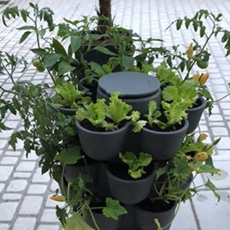 Jardin_composteur_permaculture_recyclage_fleur_decoration