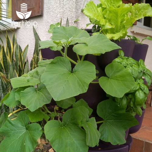 Jardin_composteur_permaculture_recyclage_fleur_decoration