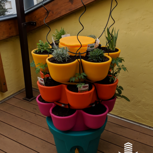 Jardin_composteur_permaculture_recyclage_fleur_decoration