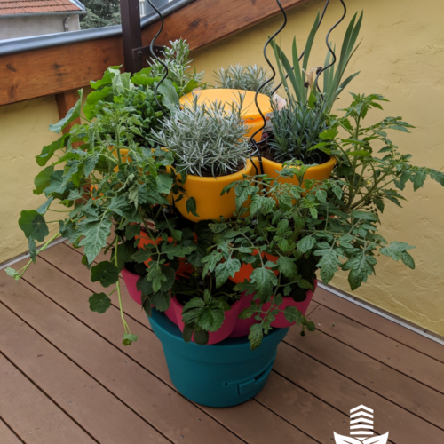 Jardin_composteur_permaculture_recyclage_fleur_decoration