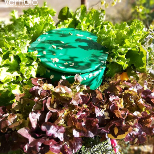 Jardin_composteur_permaculture_recyclage_fleur_decoration
