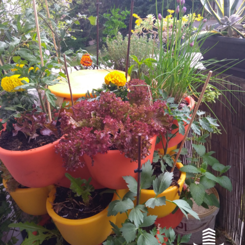Jardin_composteur_permaculture_recyclage_fleur_decoration