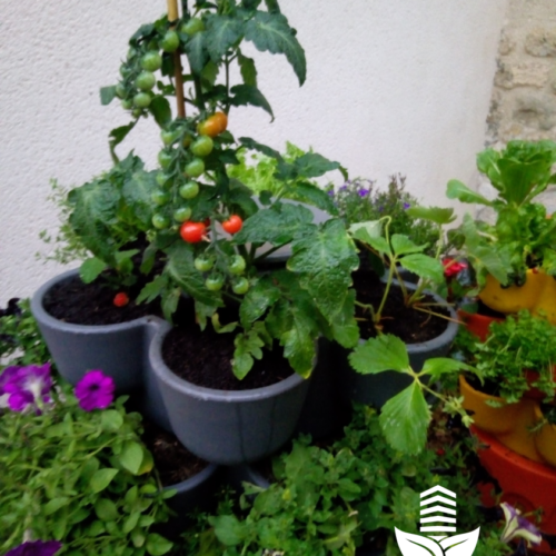 Jardin_composteur_permaculture_recyclage_fleur_decoration