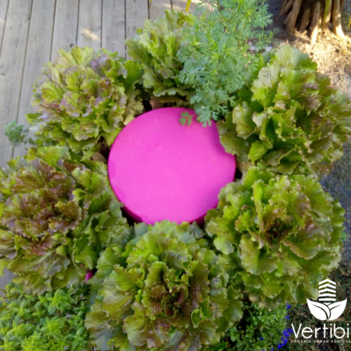 Jardin_composteur_permaculture_recyclage_fleur_decoration