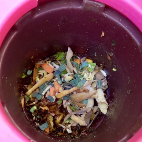 Jardin_composteur_permaculture_recyclage_fleur_decoration