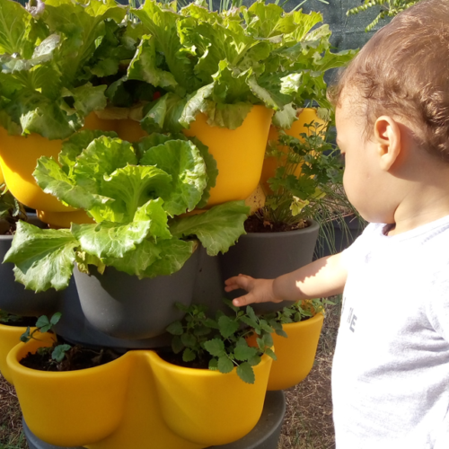 Jardin_composteur_permaculture_recyclage_fleur_decoration