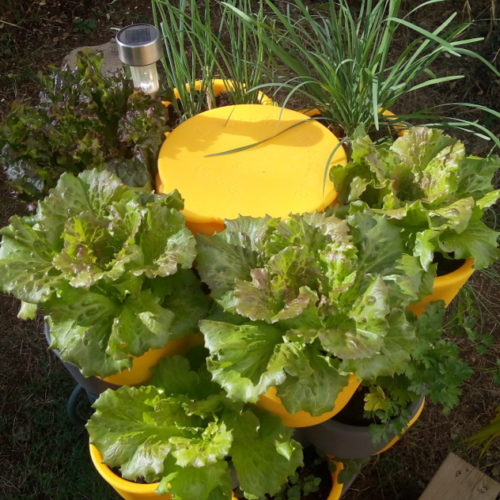 Jardin_composteur_permaculture_recyclage_fleur_decoration