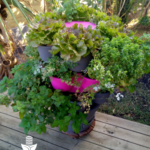 Jardin_composteur_permaculture_recyclage_fleur_decoration