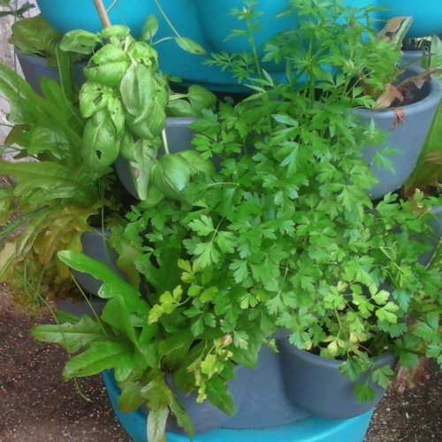 Jardin_composteur_permaculture_recyclage_fleur_decoration