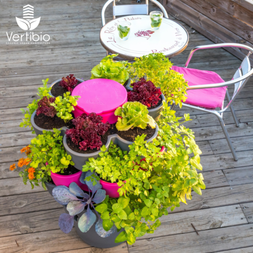 Jardin_composteur_permaculture_recyclage_fleur_decoration