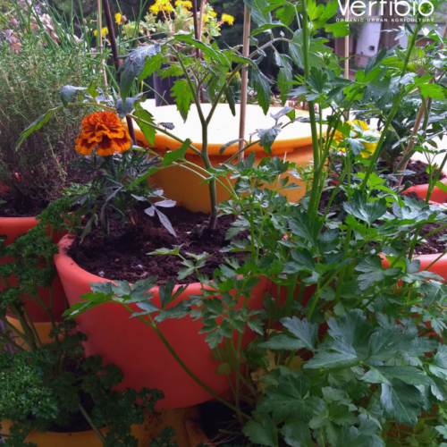 Jardin_composteur_permaculture_recyclage_fleur_decoration